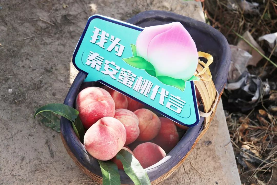 寸止挑战骰子 寸止地铁上我试着不碰手机海报