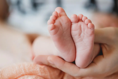 e无限 幼苗突然如星火燎原