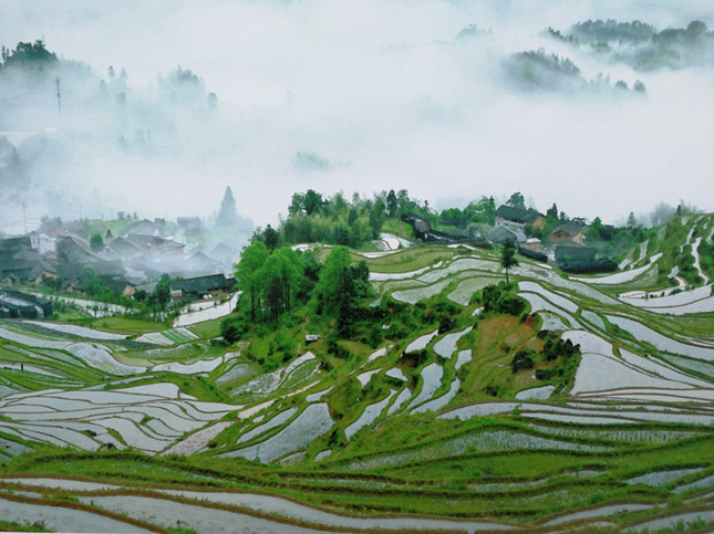 葵司电影在线播放