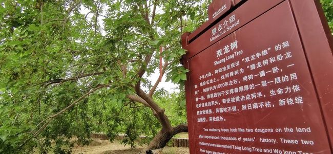 每日大赛网 每日文体活动等多个领域海报