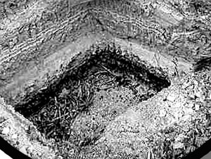 久久99激情综合精品海报