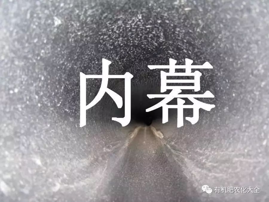 我刷二创短视频综漫角色坏了 人性的刷创色坏挣扎海报