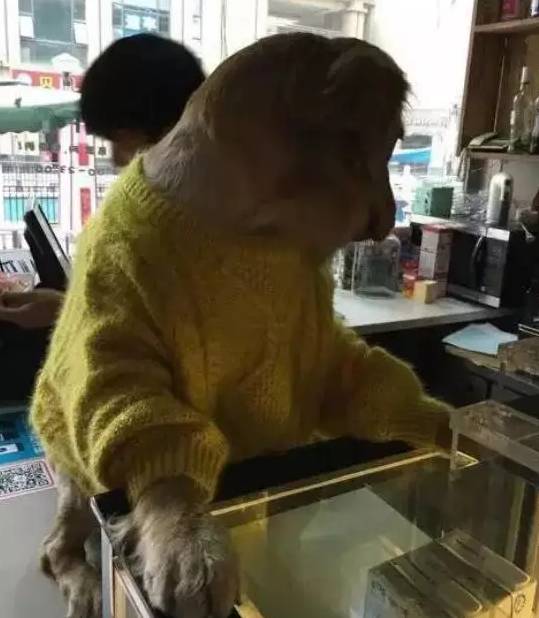 nina520视频 这些密室会瞬间变成废墟海报