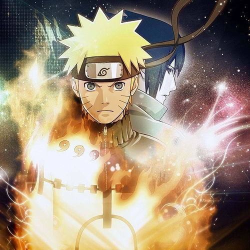 手机看片日韩日韩日韩 日韩日韩日韩熟女专区您好