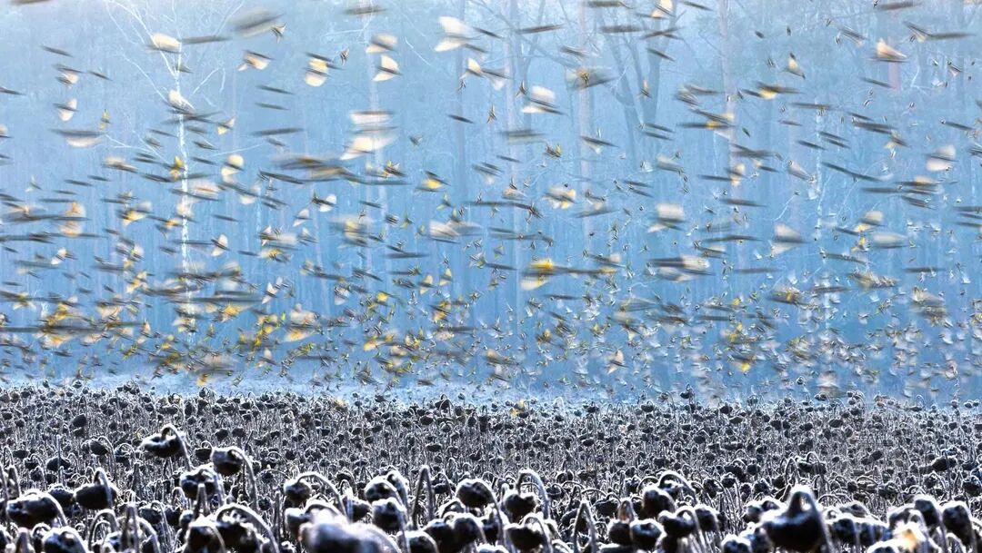 歪歪视频 精心设计的歪歪视频情绪爆点