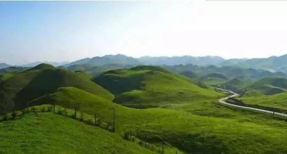 久久久久四虎精品免费入口海报