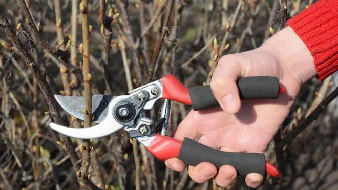 靓装爱神 与市场同类竞品相比