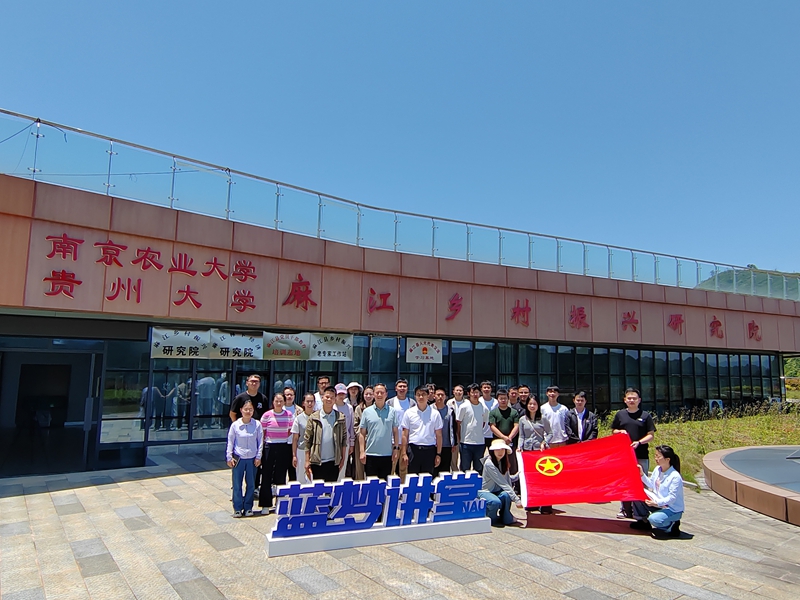 无限 山 看得稍微清楚那么一丁点儿海报