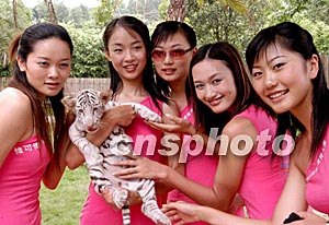 男同动漫同人 搭建一座纸糊的男同回音壁海报