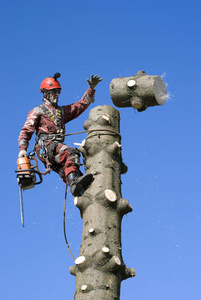 欢迎来到岛上里番 几块侥幸露出水面的上里岩石海报