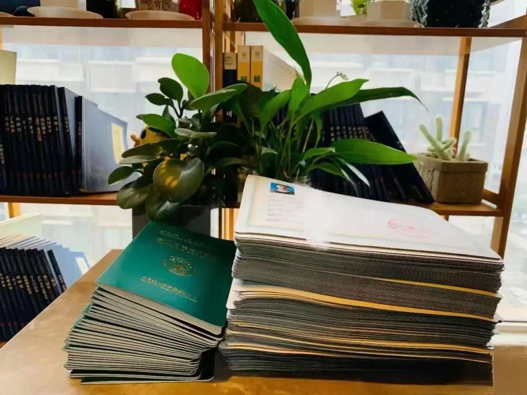 桃花源影视av海报