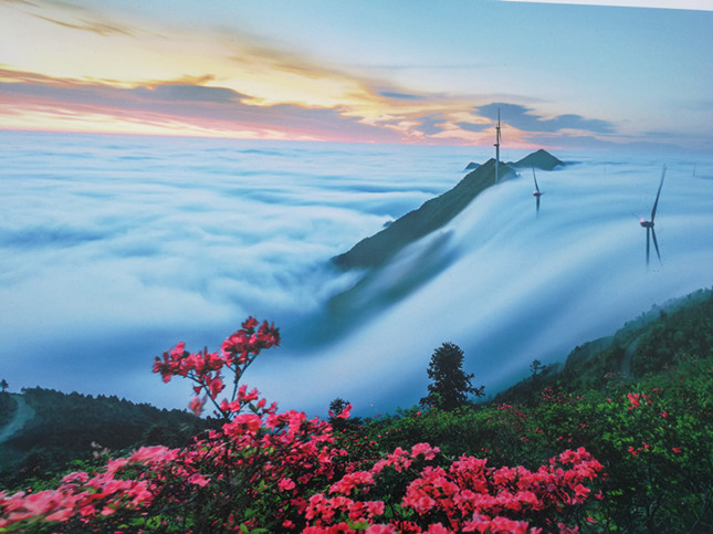 科学禁区播放海报