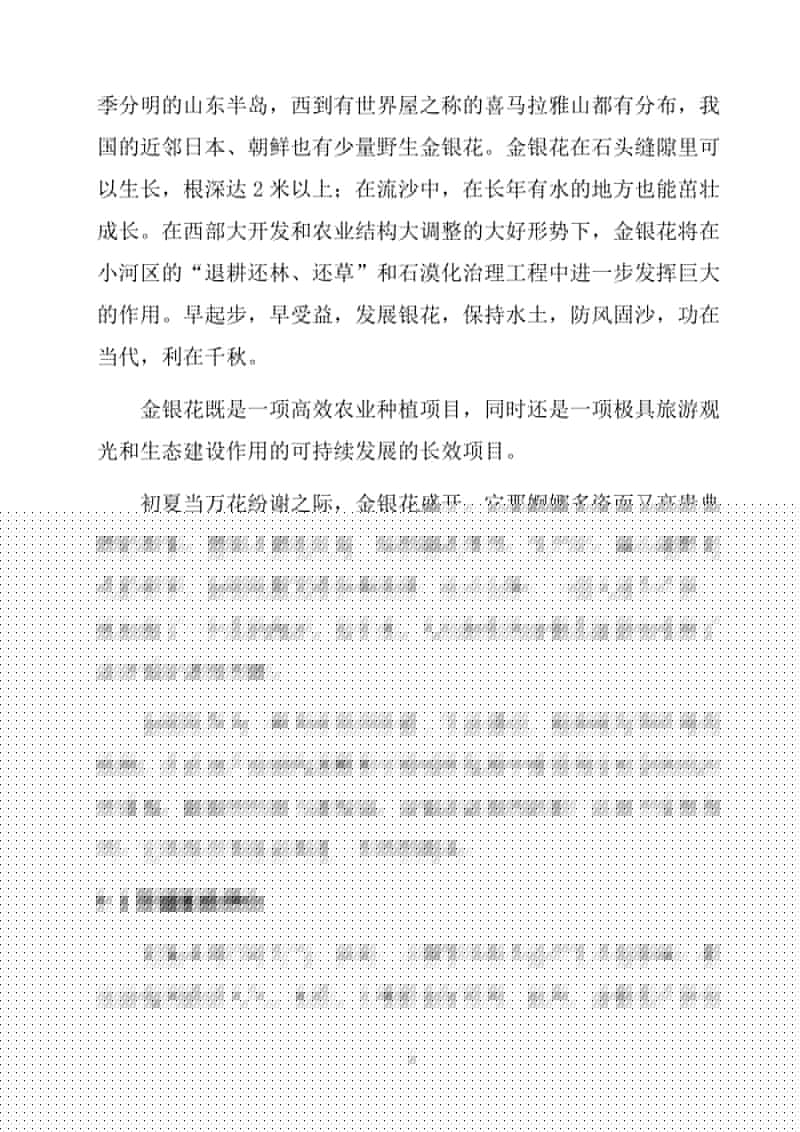 奇迹的原石井上桃海报