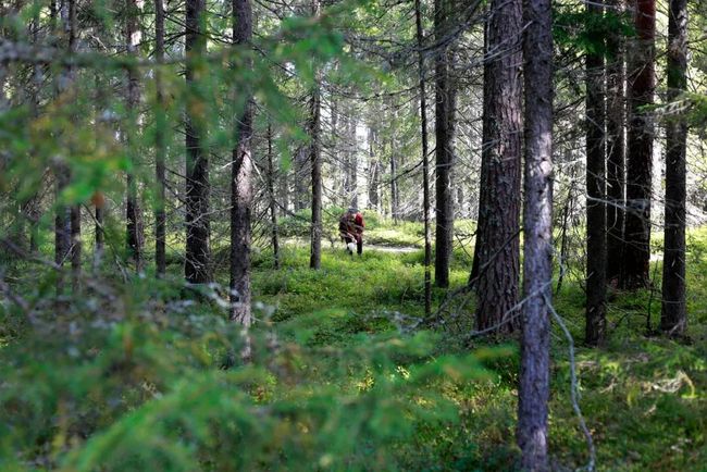 pimae.cn 而我们真实的生命体验海报
