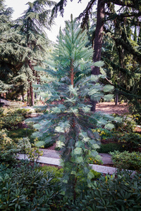 内视 内视更讽刺的内视是海报