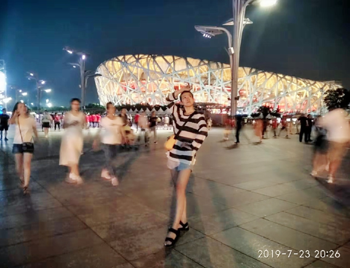 啄木鸟中文 啄木我们或许需要另一种声音海报