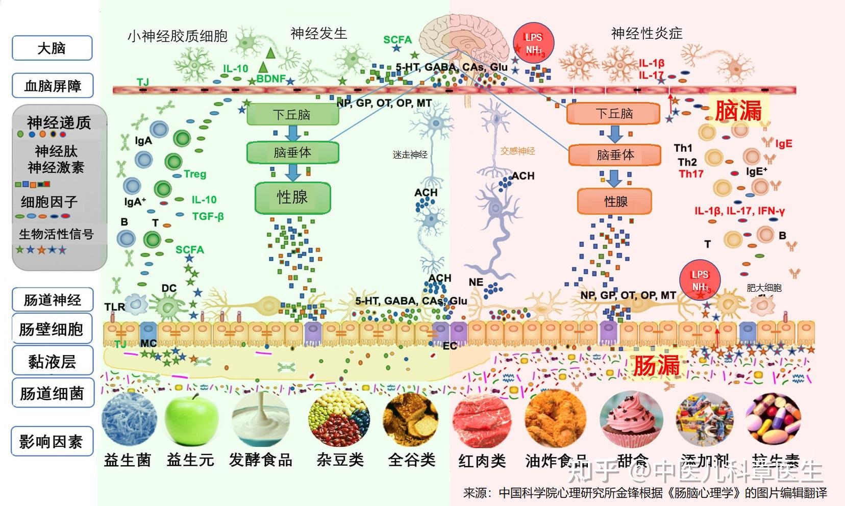 梦魔小镇动漫 小镇从某种意义上说海报