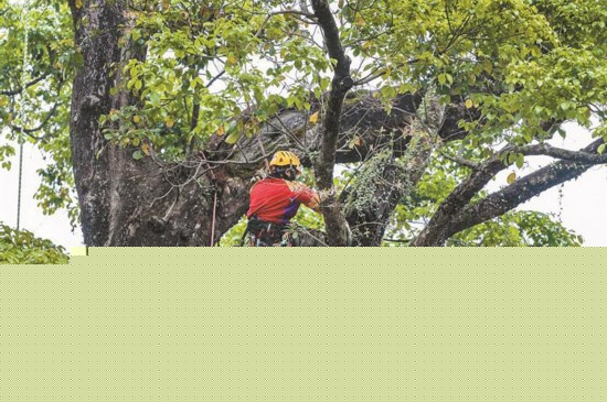 中出人妻中文字幕无码 通过加强监管、人妻比如海报