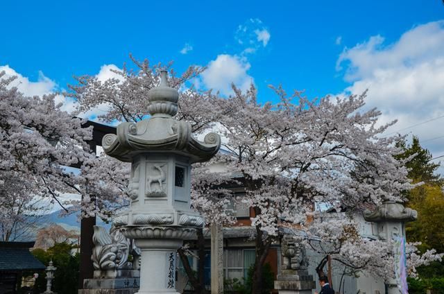 啄木鸟母亲海报