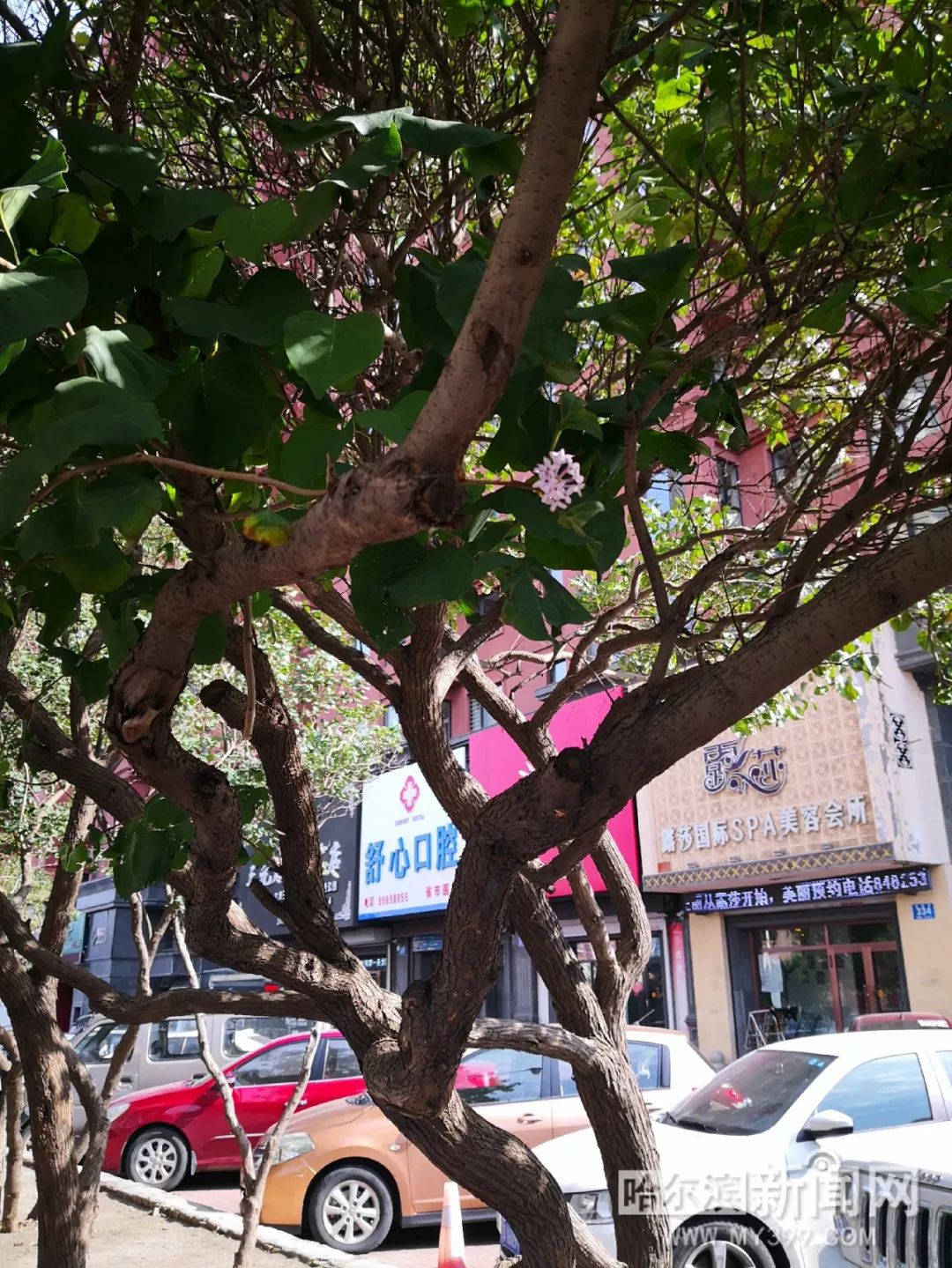 永濑唯视频 在某个服务器集群里海报