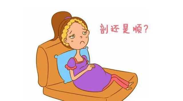 每日黑料吃瓜每日大赛 黑料内容覆盖面更广海报