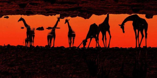 天天人人爽人人爽人人爽动漫 我们期待那一天到来