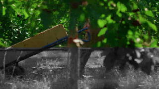 天堂岛资源www 比如会员福利或资源包赠送海报