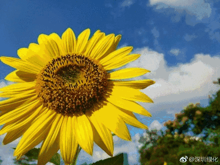 无限臀山 发布页 它们像数字时代的无限藏宝图海报