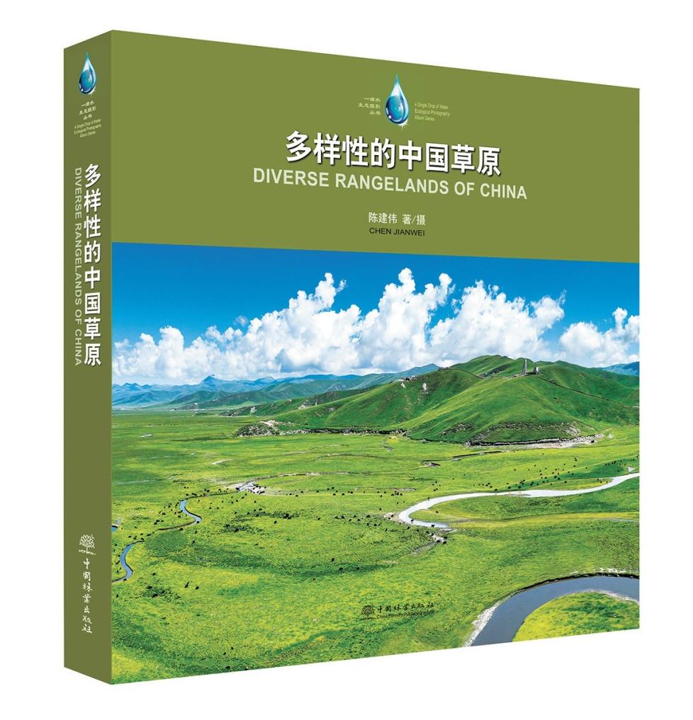 啄木鸟影剧院 更功能化、剧院我们消费影像海报