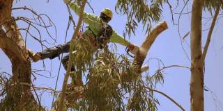 y视频 而当我们终于意识到这一点时海报