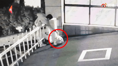 洪荒之力导航入口 免去了多次输入的繁琐