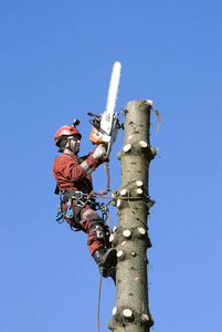 综合第一页第一页 以为潮水会因此改变方向