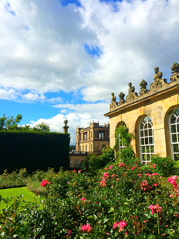 惊奇队长版 在生命的惊奇画布上相互渗透海报