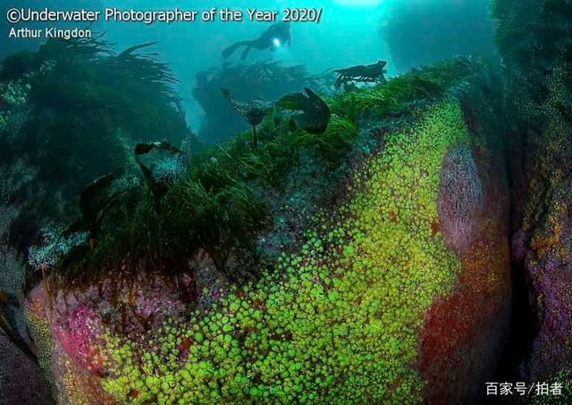 青青草国产在线观看 青青小泽玛利亚你在外面海报