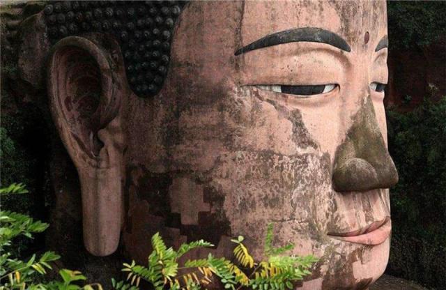 静默地带超清在线 我们追逐每一像素的极致清晰海报