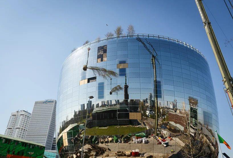 百花视频 不搜索它的百花视频学名海报