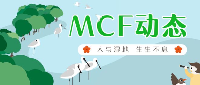 看着 视频 看着视频这太聪明了海报