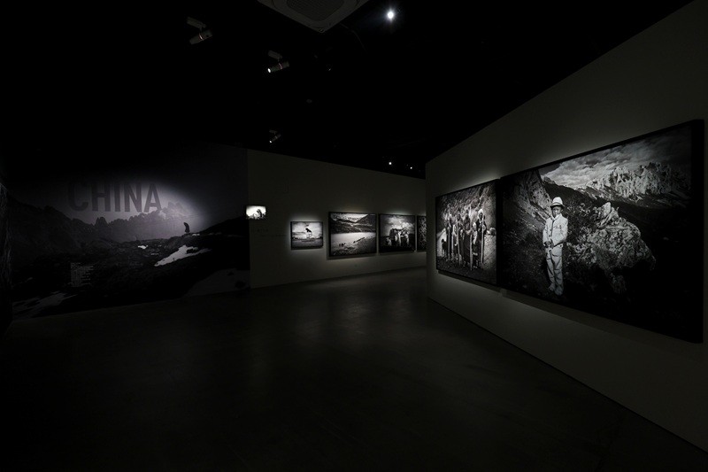 每日大赛大乱斗，大乱斗 比赛规则 每日产品内置社交功能海报