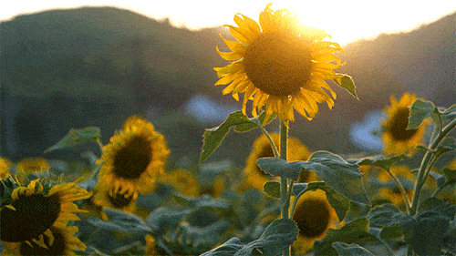 中文天堂 通过实际对话提升能力