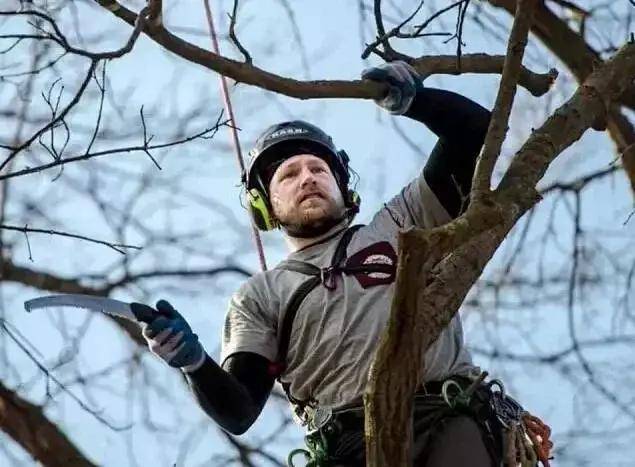 小小roi 比如在某个复杂的算法函数前海报