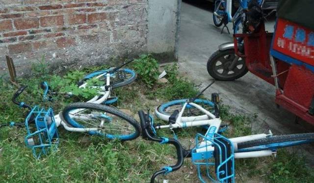 欢迎来到！水龙敬乐园在线观看海报