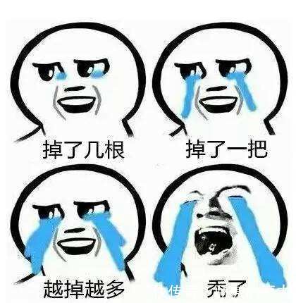 欢乐谷视频在线观看 似乎都在为手机摄像头服务海报