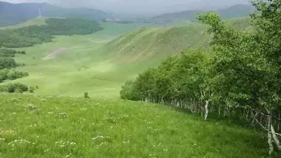 抖音网红爹咪 “爹咪”胜在情感软连接海报