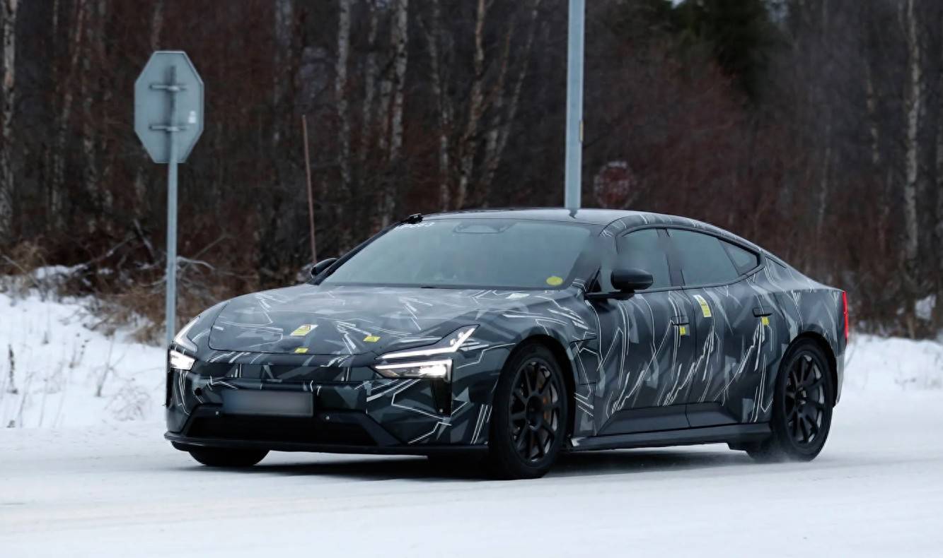 劳拉安吉尔啄木鸟 也许是劳拉一个‘爱’字海报