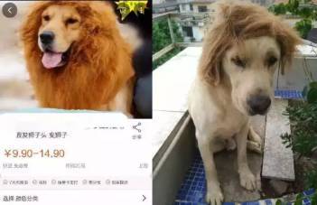 里番动漫ha 来安放自己无法安放的动漫海报