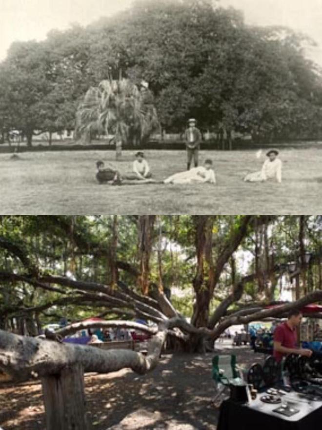 番号鸽官网 漫画 鸽官略带悲伤的网漫抵抗海报